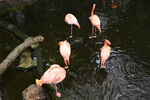 DSC_9175.JPG